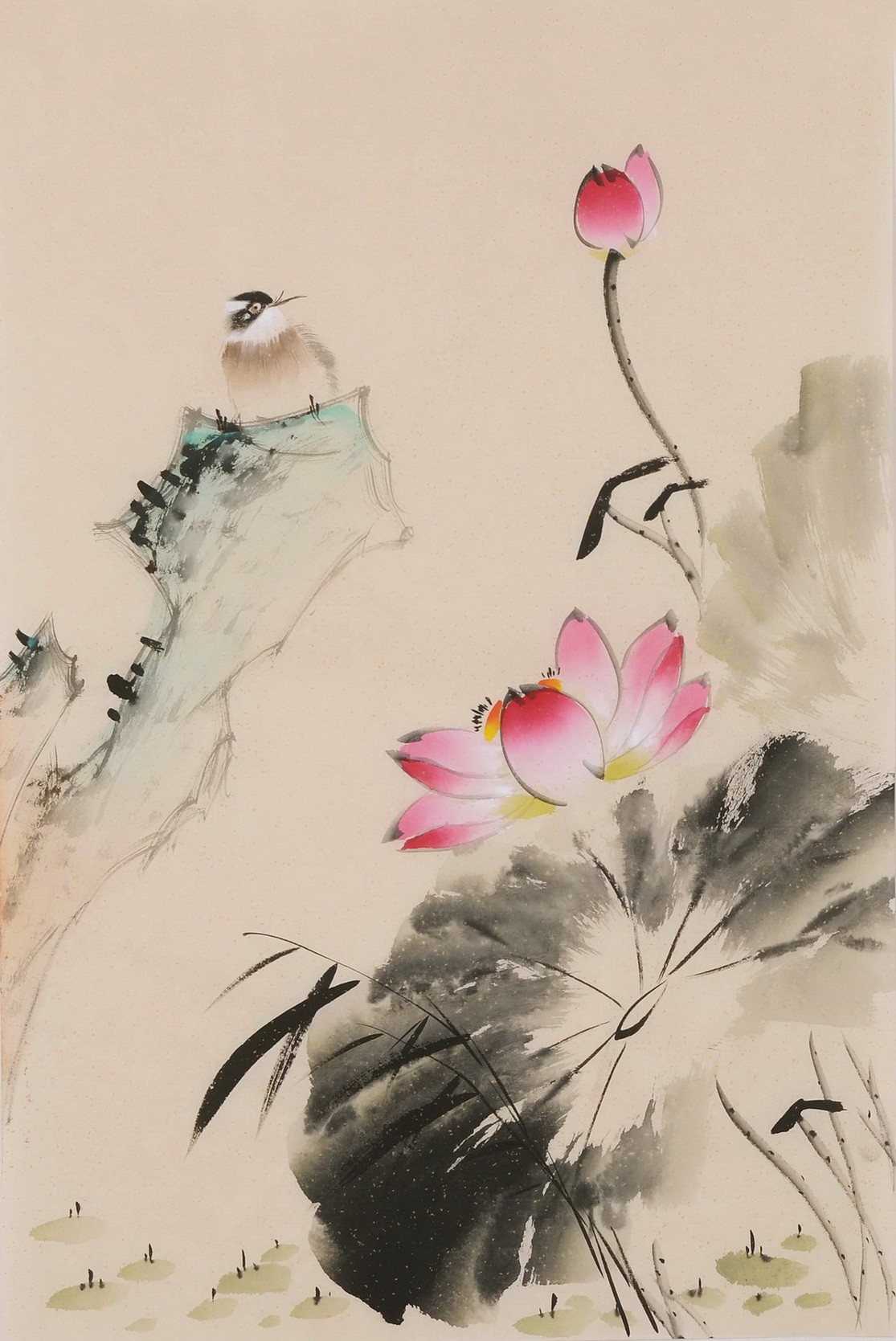 Lotus - CNAG001036