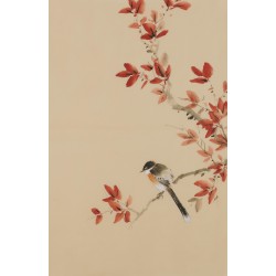 Other Birds - CNAG001037
