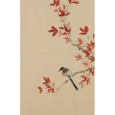 Other Birds - CNAG001037
