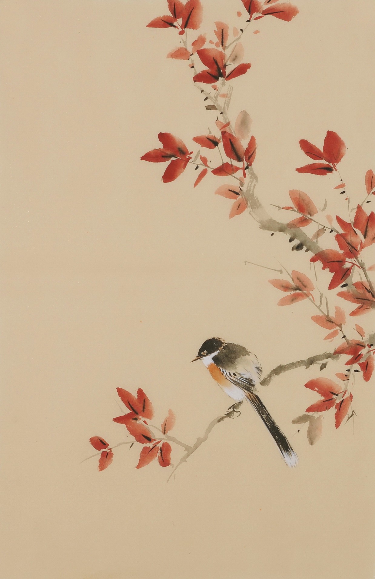 Other Birds - CNAG001037