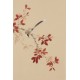 Other Birds - CNAG001038