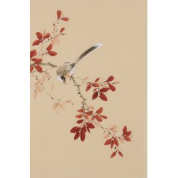 Other Birds - CNAG001038