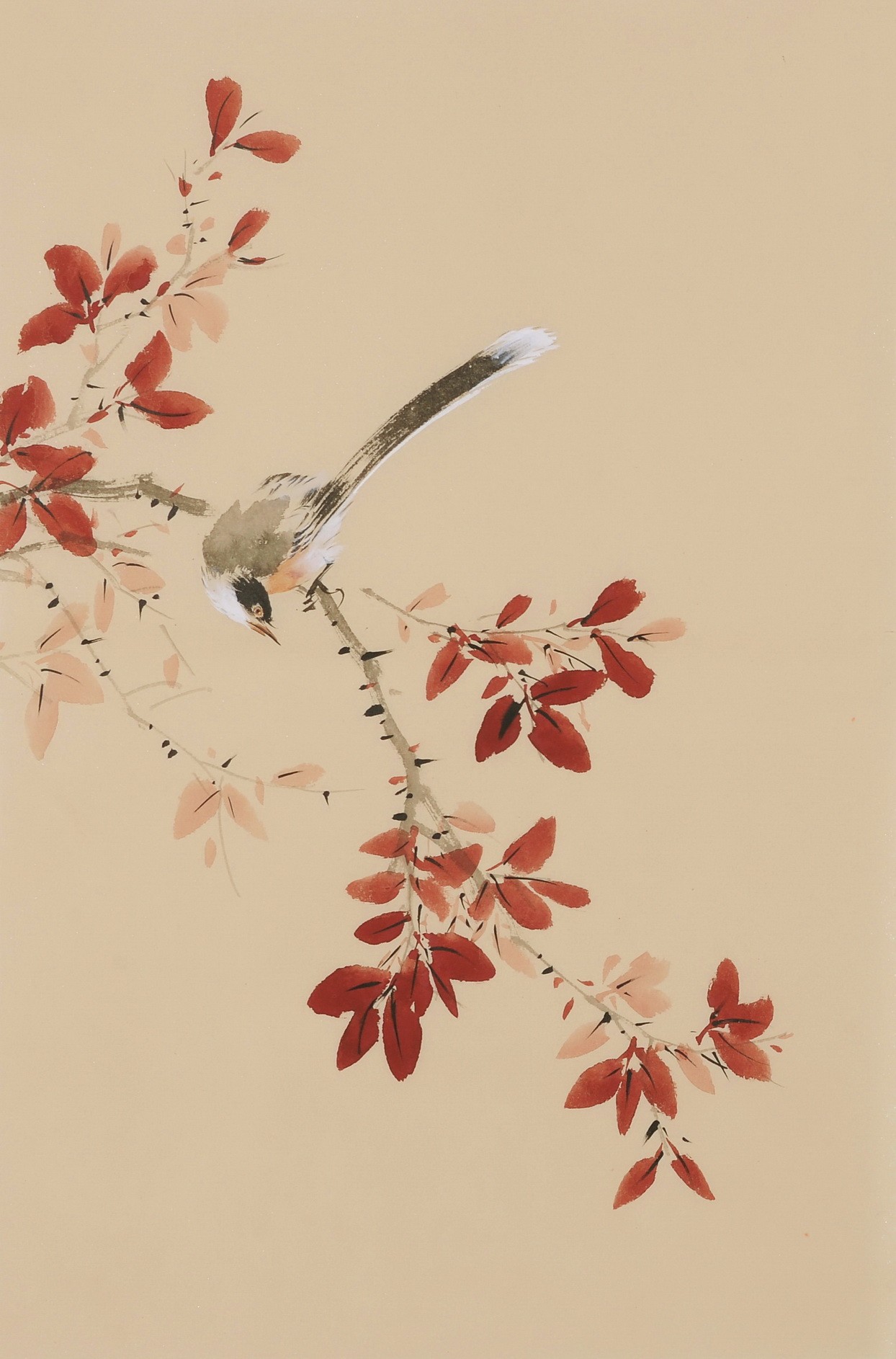 Other Birds - CNAG001038