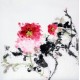 Chinese Peony Painting - CNAG010478