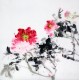 Chinese Peony Painting - CNAG010479
