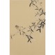 Green Bamboo - CNAG001039