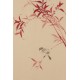 Bamboo - CNAG001040
