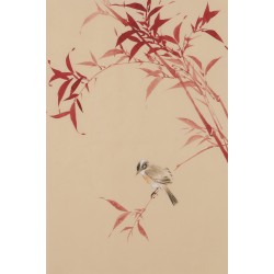 Bamboo - CNAG001040