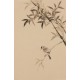 Green Bamboo - CNAG001041