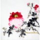 Chinese Peony Painting - CNAG010503