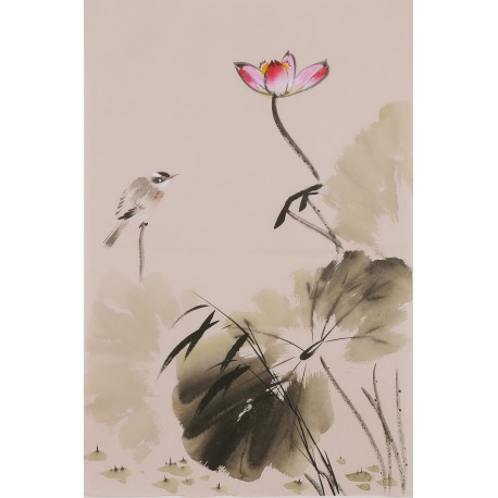 Lotus - CNAG001042