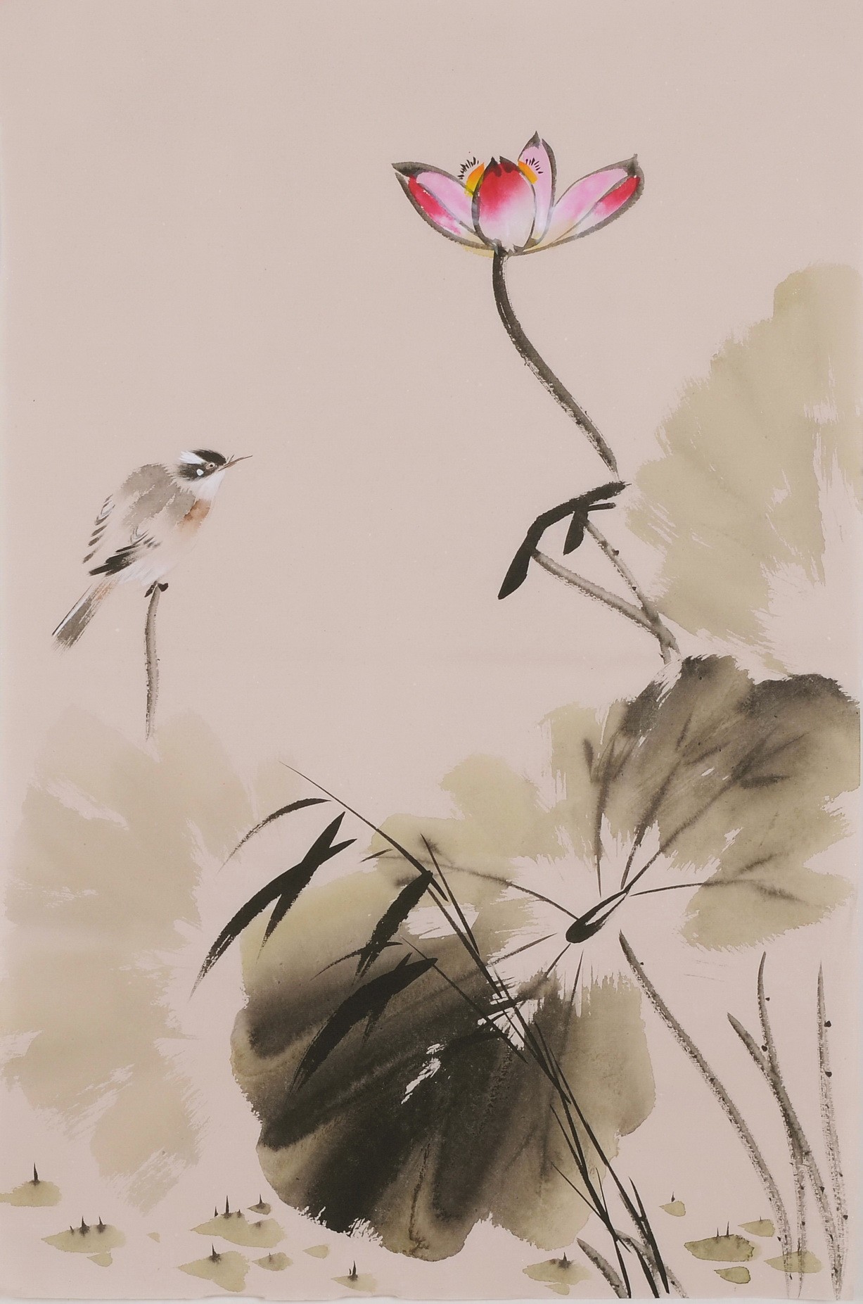 Lotus - CNAG001042