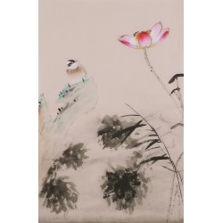 Lotus - CNAG001043