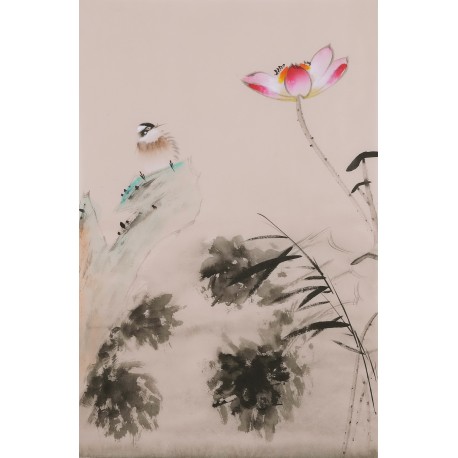 Lotus - CNAG001043