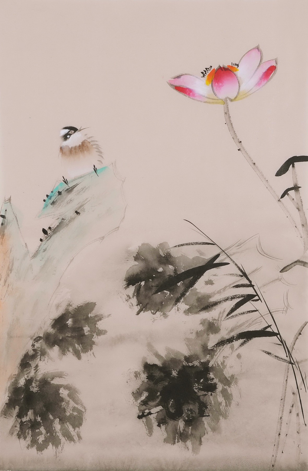 Lotus - CNAG001043