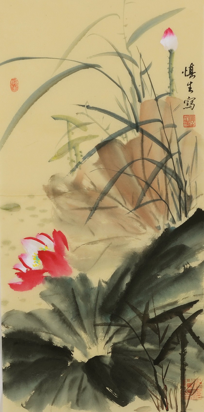 Lotus - CNAG001057