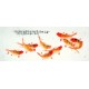 Chinese Fish Painting - CNAG010677