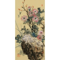 Chrysanthemum - CNAG001075