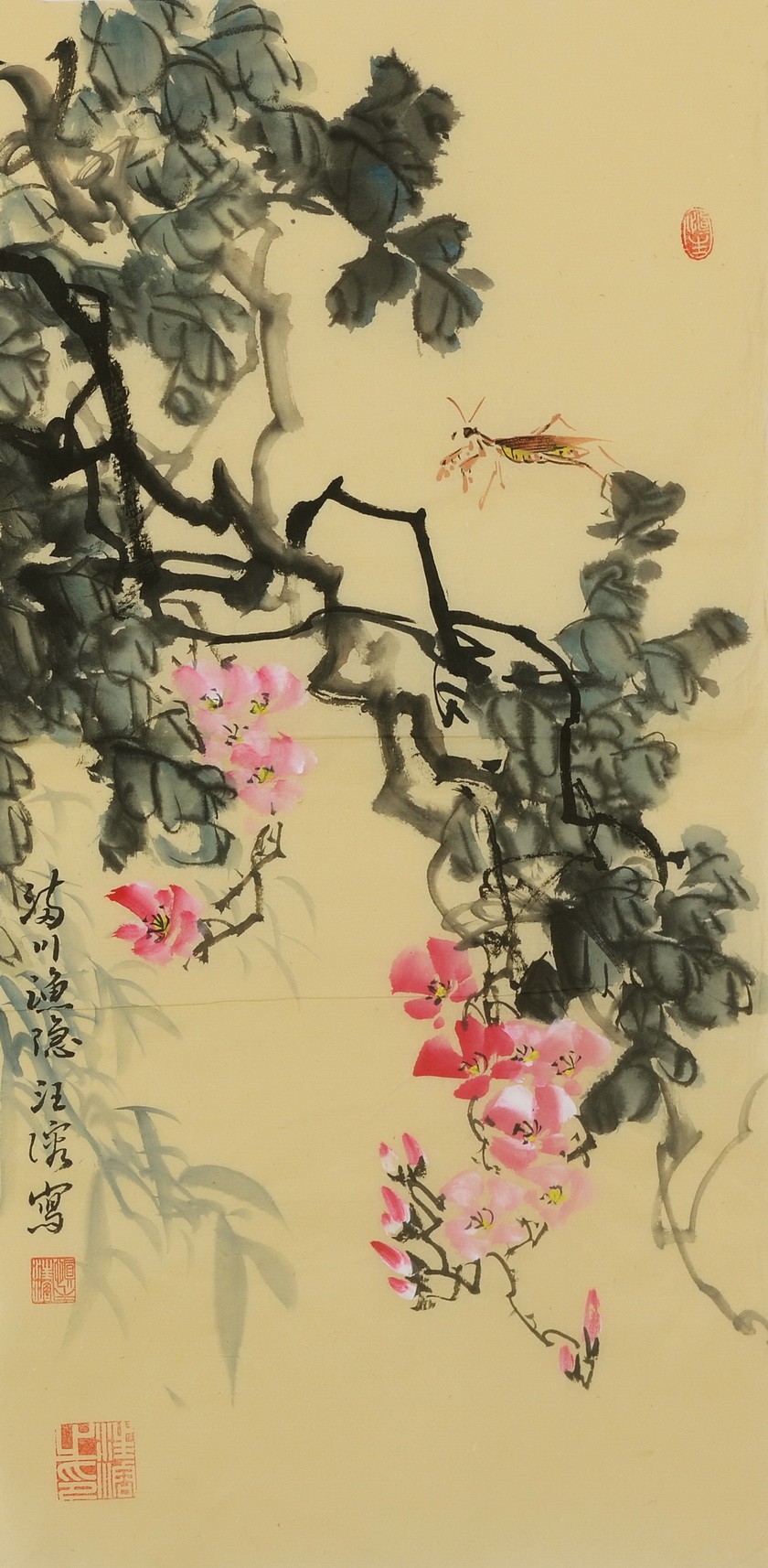 Peach Blossom - CNAG001080