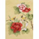 Peony - CNAG001090