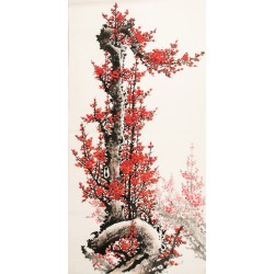 Plum - CNAG001093