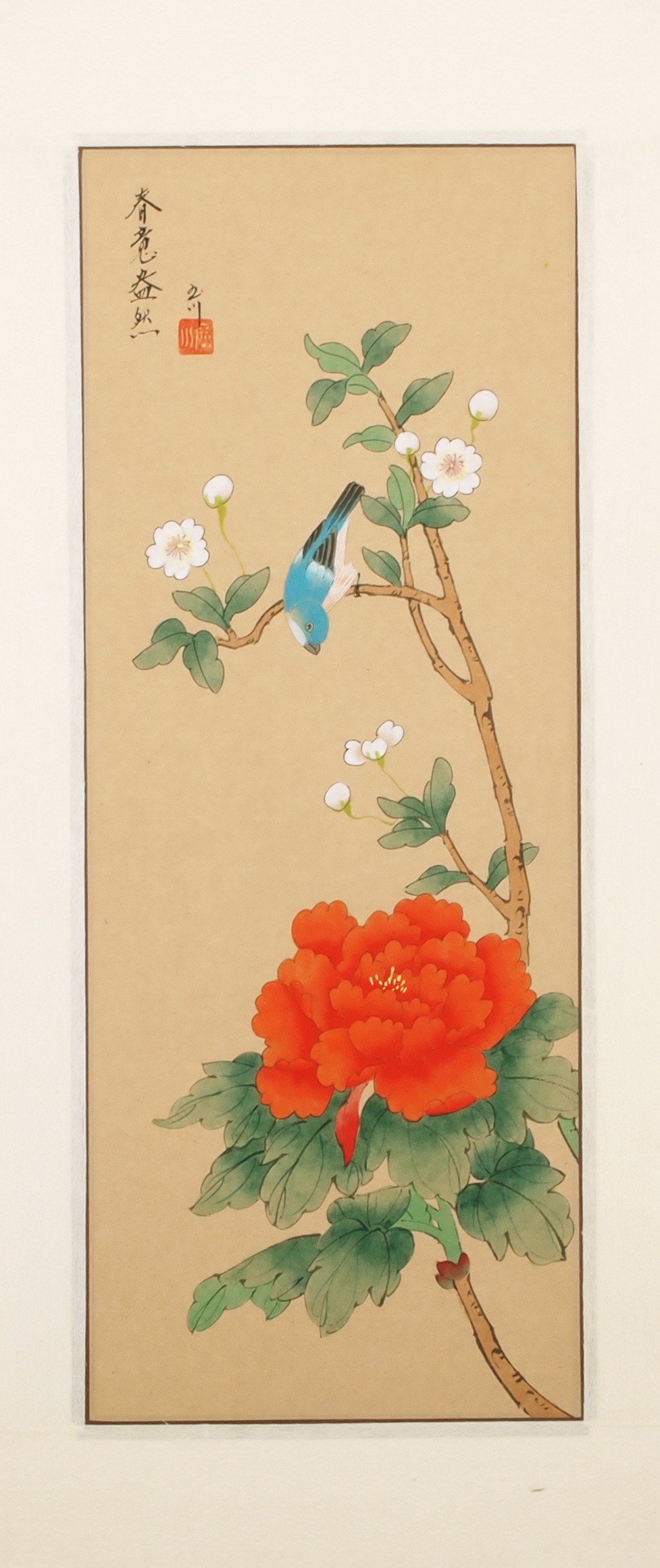 Other Birds - CNAG001098