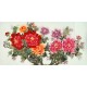 Chinese Peony Painting - CNAG011096