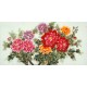 Chinese Peony Painting - CNAG011106