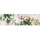 Chinese Flowers&Trees Painting - CNAG011418