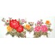 Chinese Peony Painting - CNAG011461