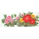 Chinese Peony Painting - CNAG011464