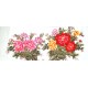 Chinese Peony Painting - CNAG011526