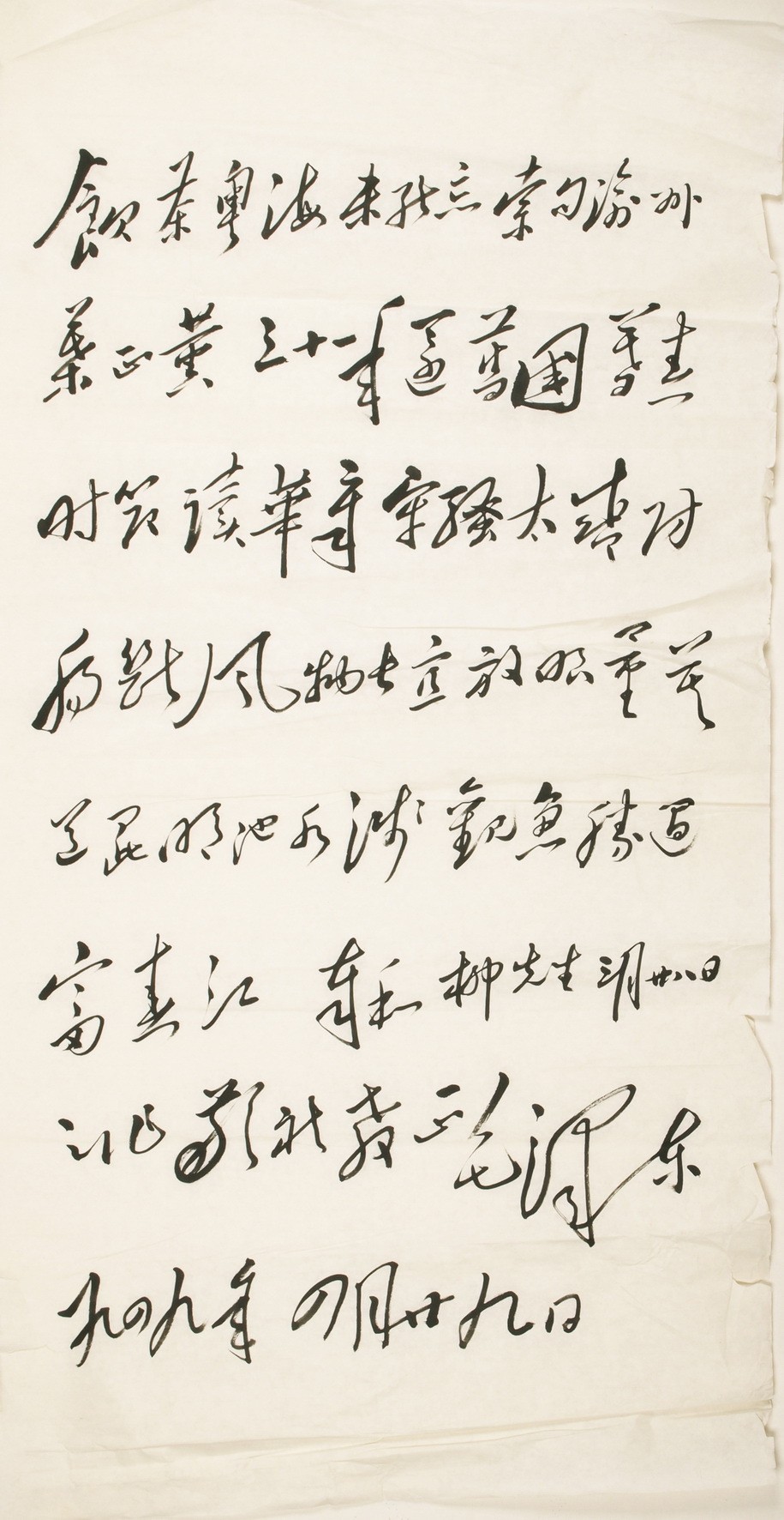 Cursive Scripts - CNAG001145