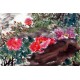 Chinese Peony Painting - CNAG011558