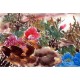 Chinese Peony Painting - CNAG011559