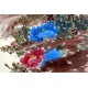 Chinese Peony Painting - CNAG011588