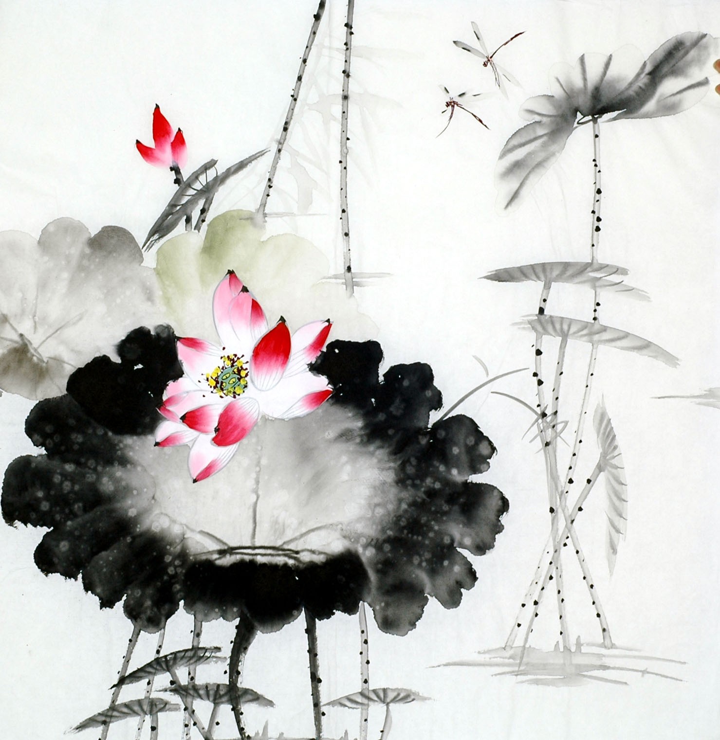 Chinese Lotus Painting - CNAG011717