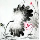Chinese Lotus Painting - CNAG011718