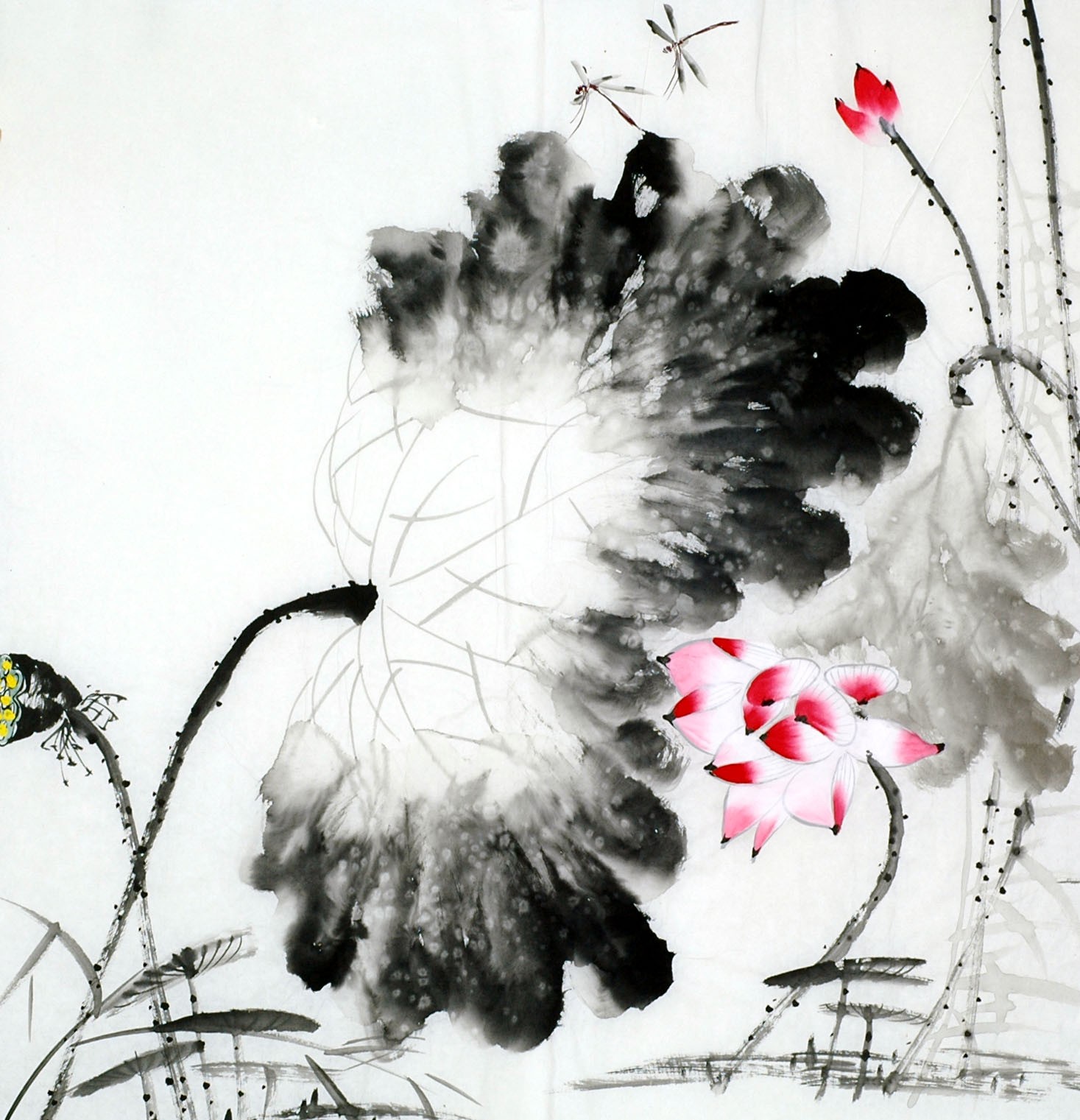 Chinese Lotus Painting - CNAG011718