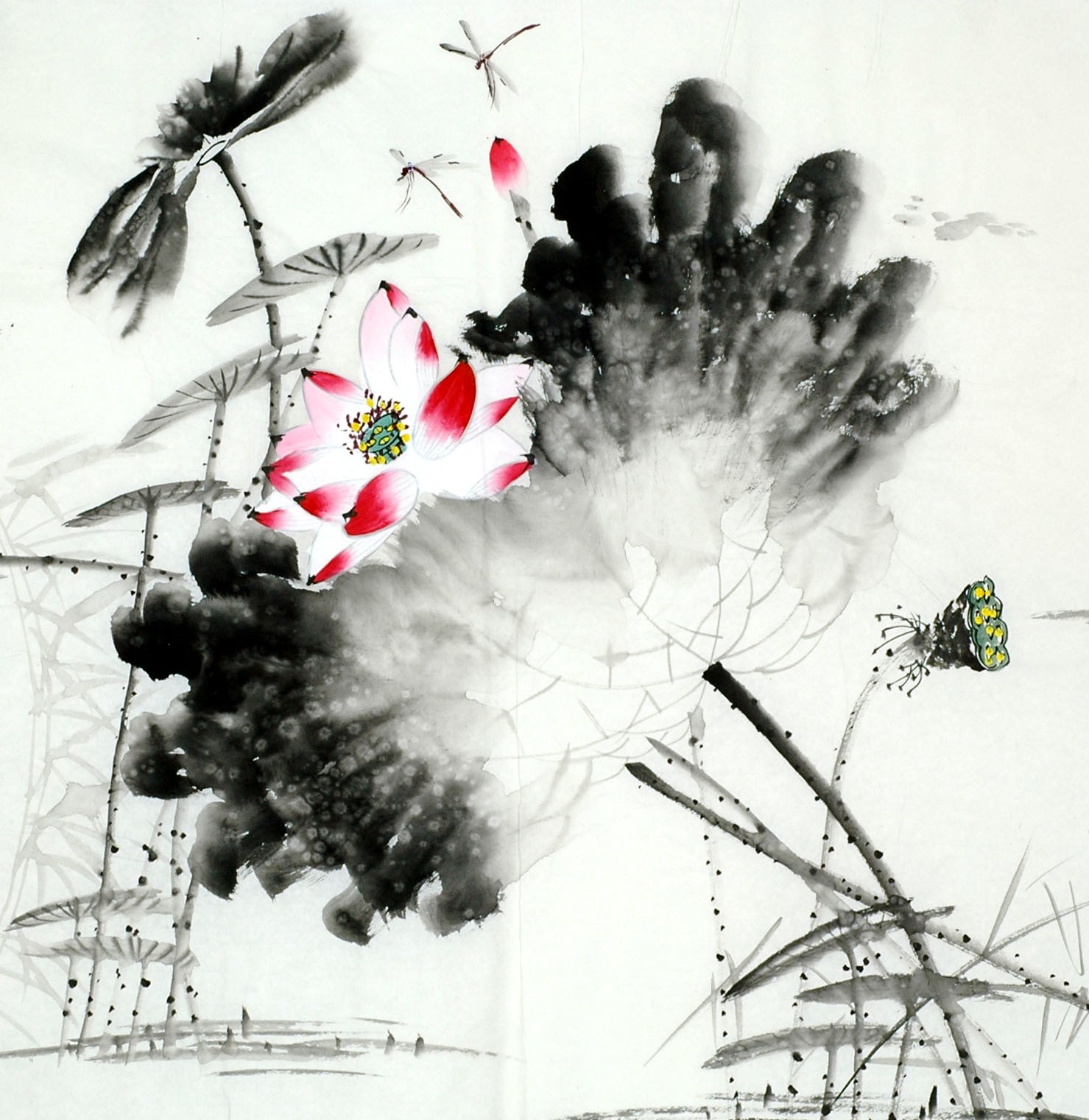 Chinese Lotus Painting - CNAG011721