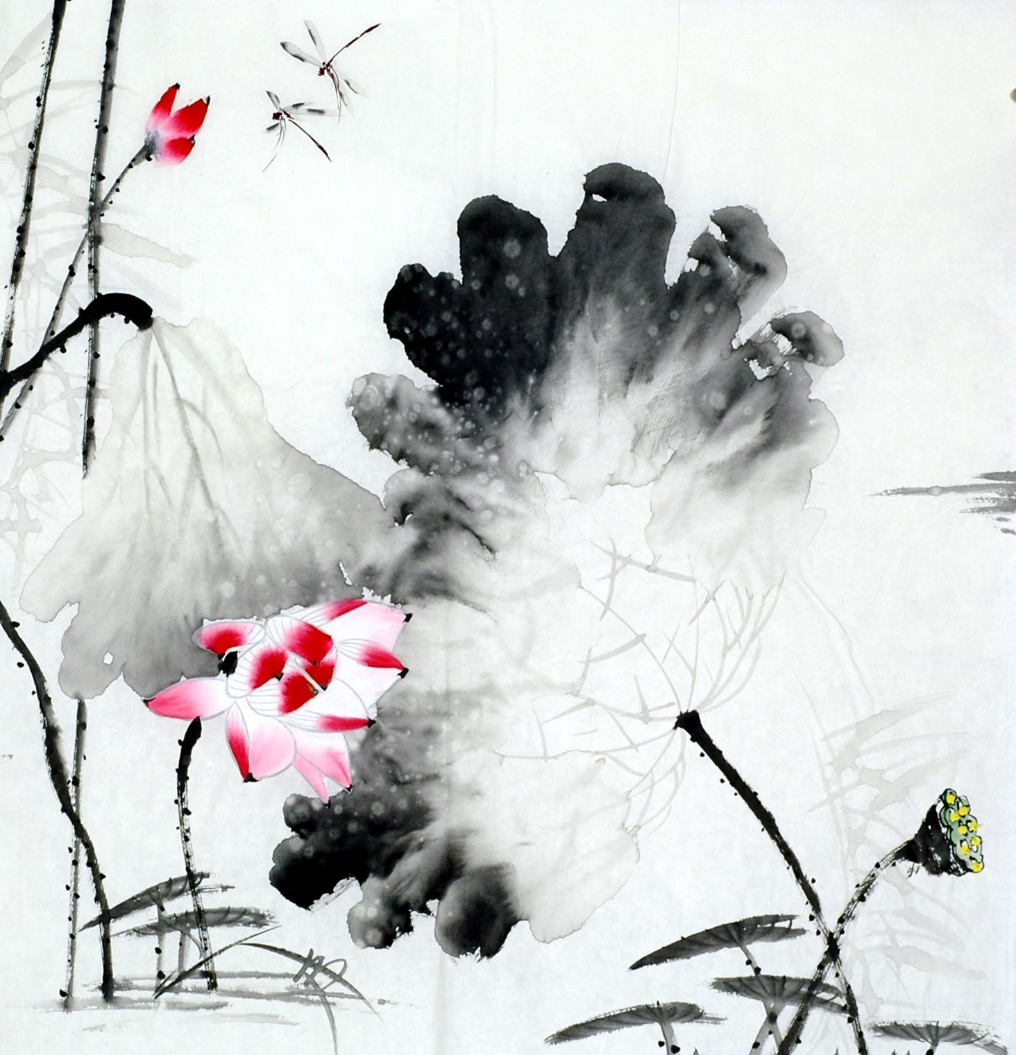 Chinese Lotus Painting - CNAG011722