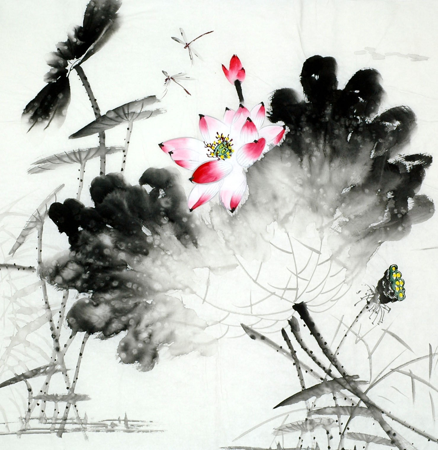 Chinese Lotus Painting - CNAG011729