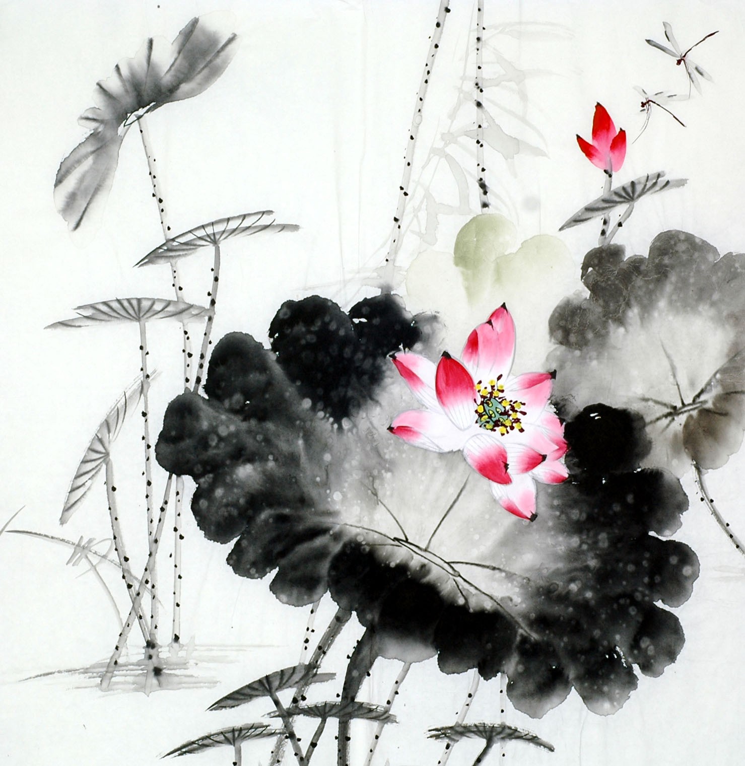 Chinese Lotus Painting - CNAG011731