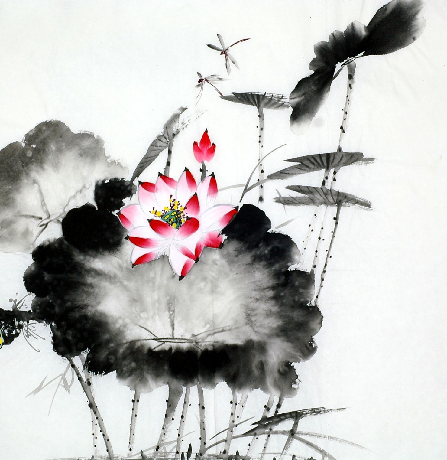 Chinese Lotus Painting - CNAG011732