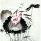 Chinese Lotus Painting - CNAG011734