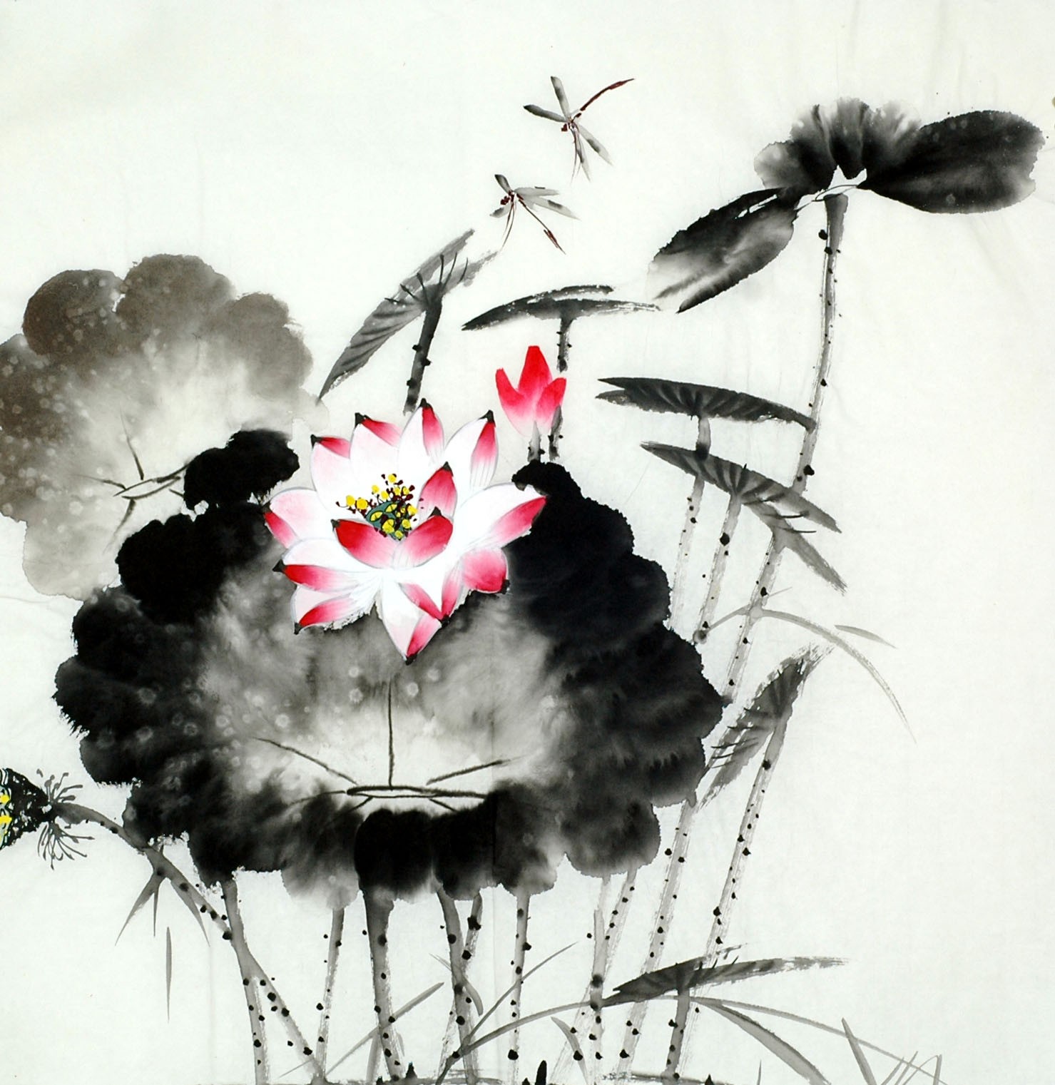 Chinese Lotus Painting - CNAG011734