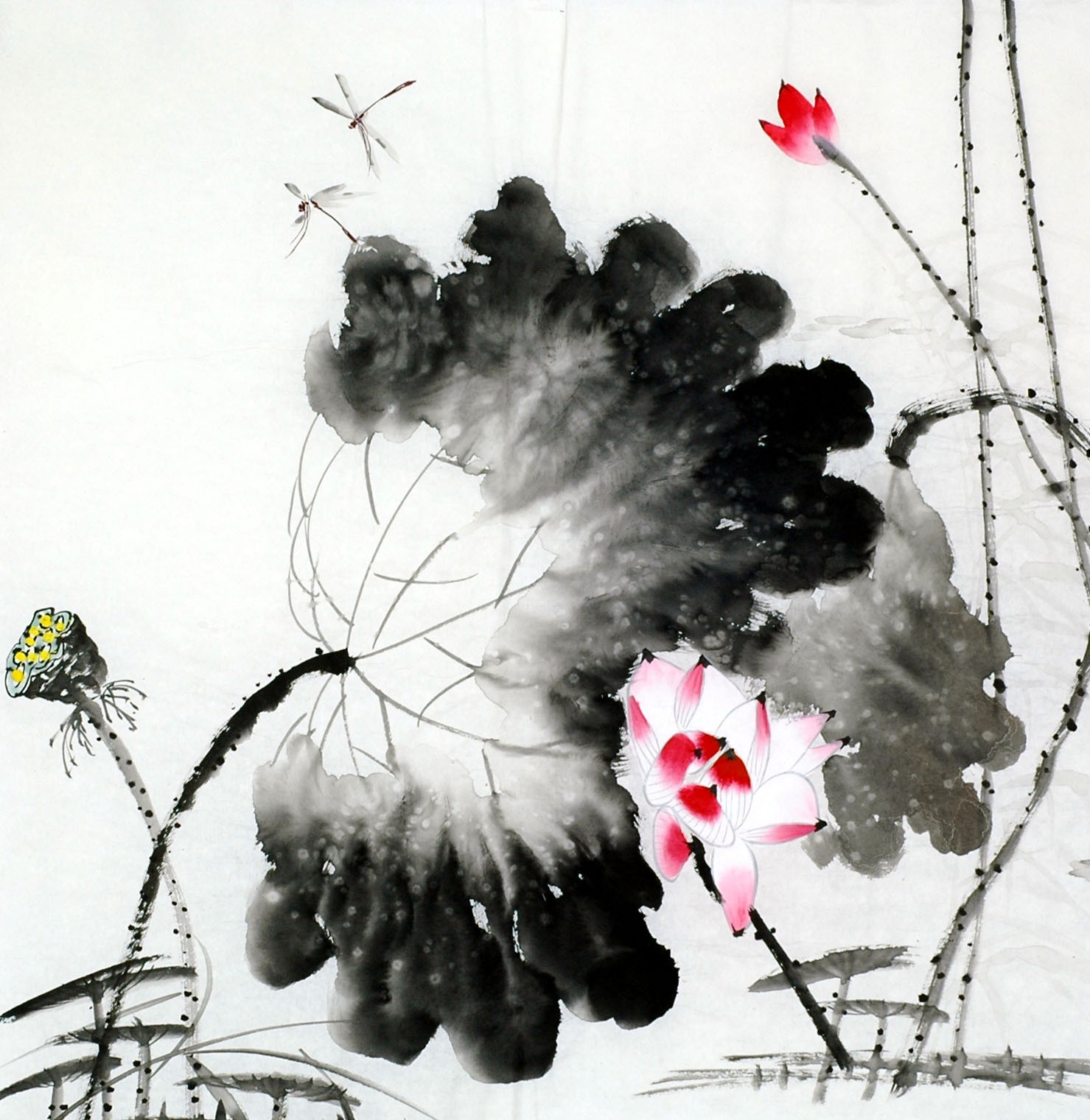 Chinese Lotus Painting - CNAG011750