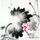 Chinese Lotus Painting - CNAG011752