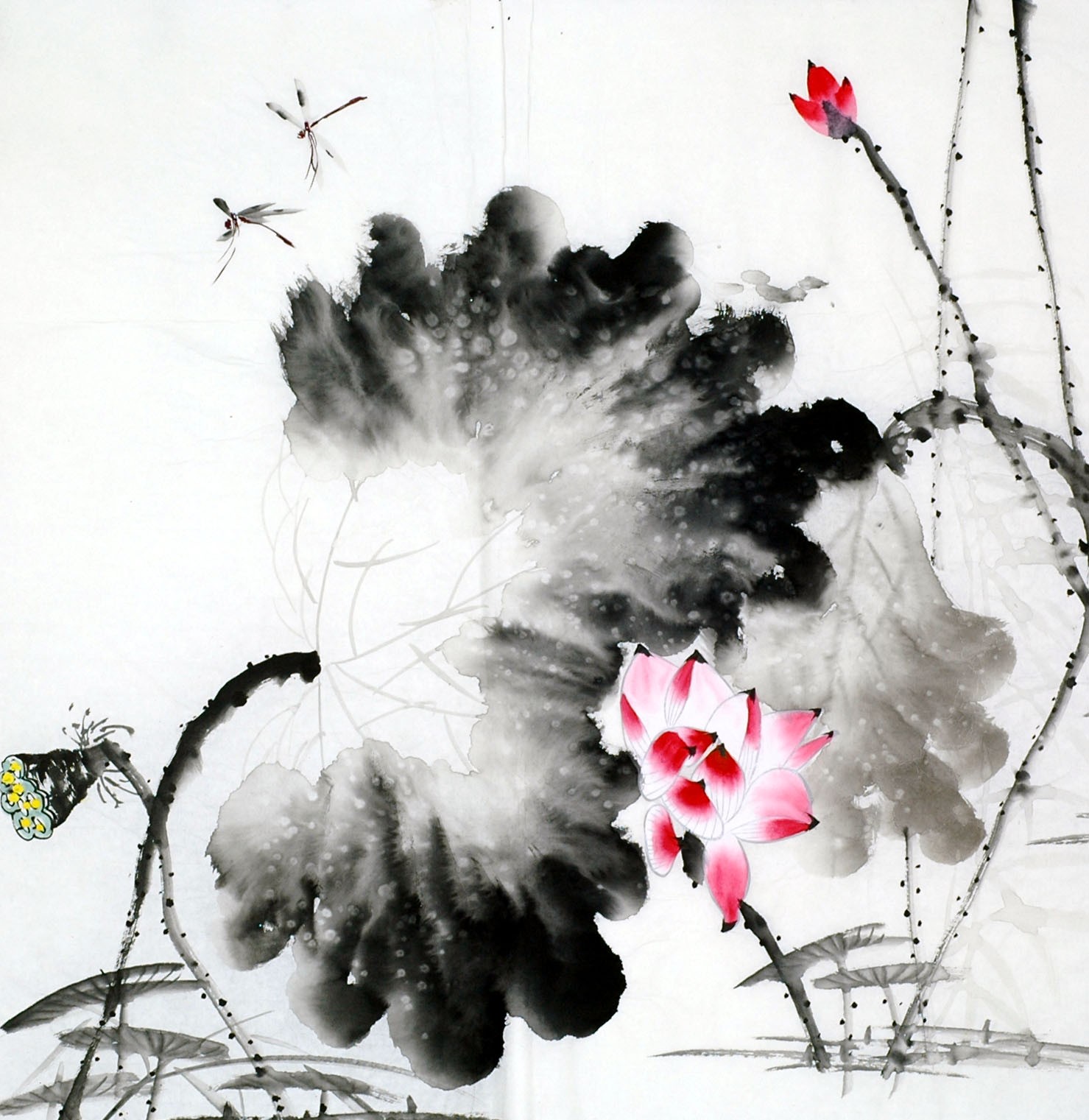 Chinese Lotus Painting - CNAG011752
