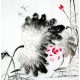 Chinese Lotus Painting - CNAG011755
